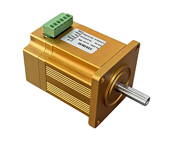 低壓伺服電機(jī)-57